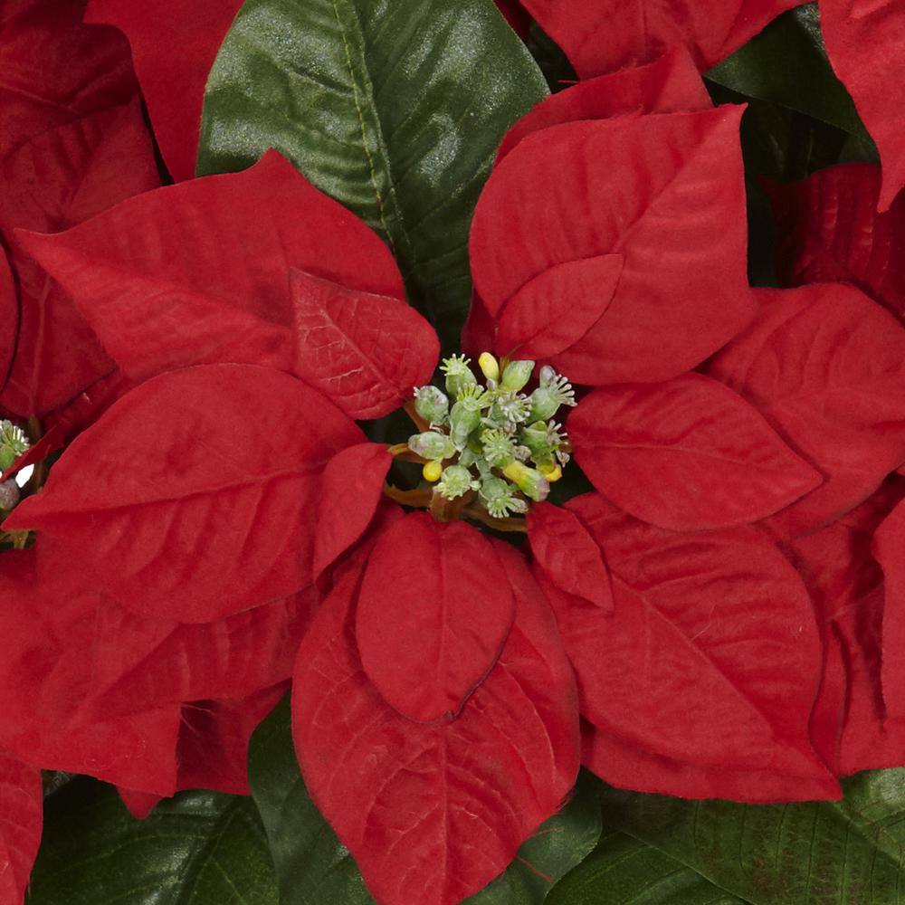16.5in. H Red Poinsettia with White Wash Planter Silk Arrangement - Hercitys