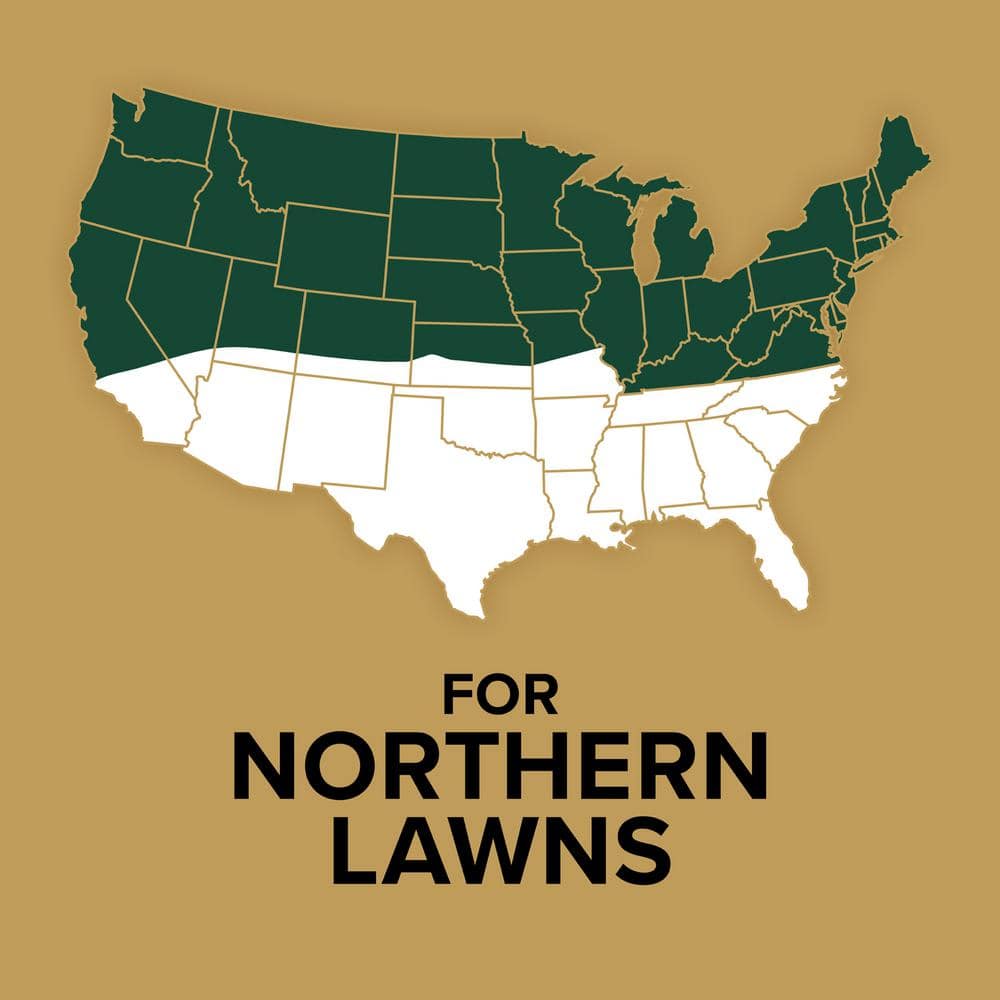 3.75 lb. EZ Seed Patch & Repair Sun and Shade Mulch, Grass Seed and Fertilizer Combination - Hercitys