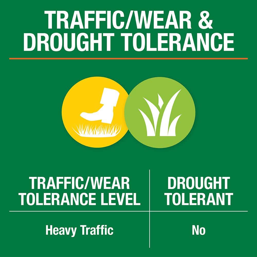 3 lbs. Tall Fescue Grass Seed Blend with Water Saver Seed Coating - Hercitys