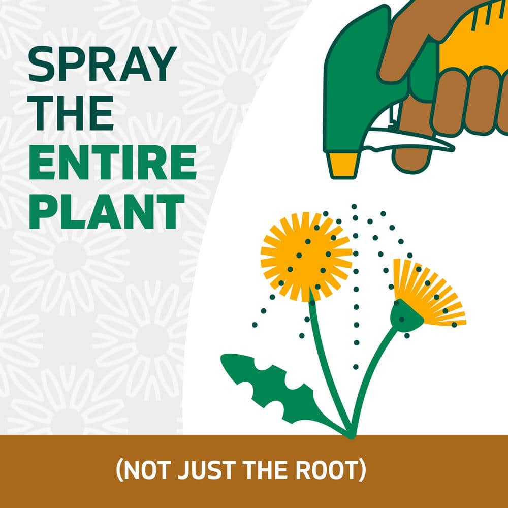 24 oz. Weed and Grass Killer Trigger Spray - Hercitys