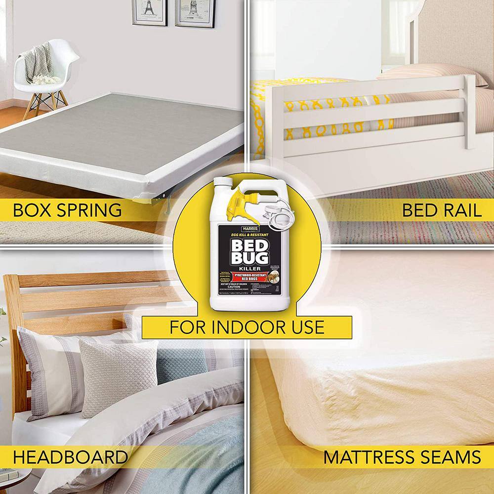 1 Gal. Ready-to-Use 1 Gal. Bed Bug Killer (2-Pack), 256 oz. Pro Spray Bottle and 55 oz. Mini Pump Sprayer - Hercitys