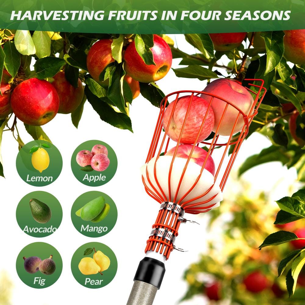263.8 in. Stainless Steel Handle Fruit Picker - Hercitys