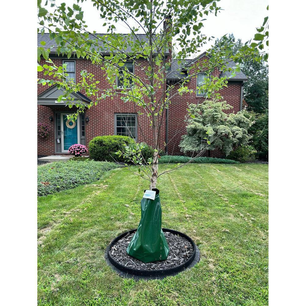 36 in. Red Recycled Rubber Tree Ring (1-pack) - Hercitys