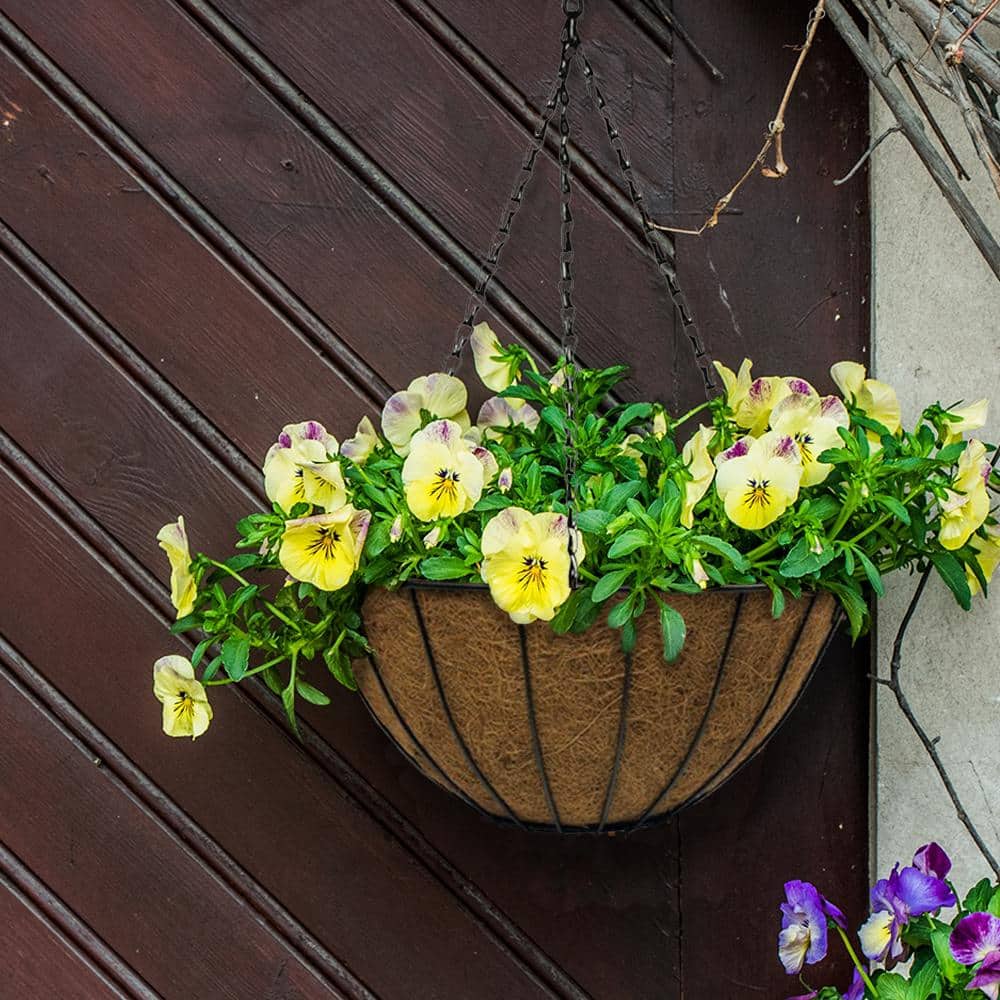 14 in. Dia Black Metal Growers Hanging Basket with Coco Liner - Hercitys