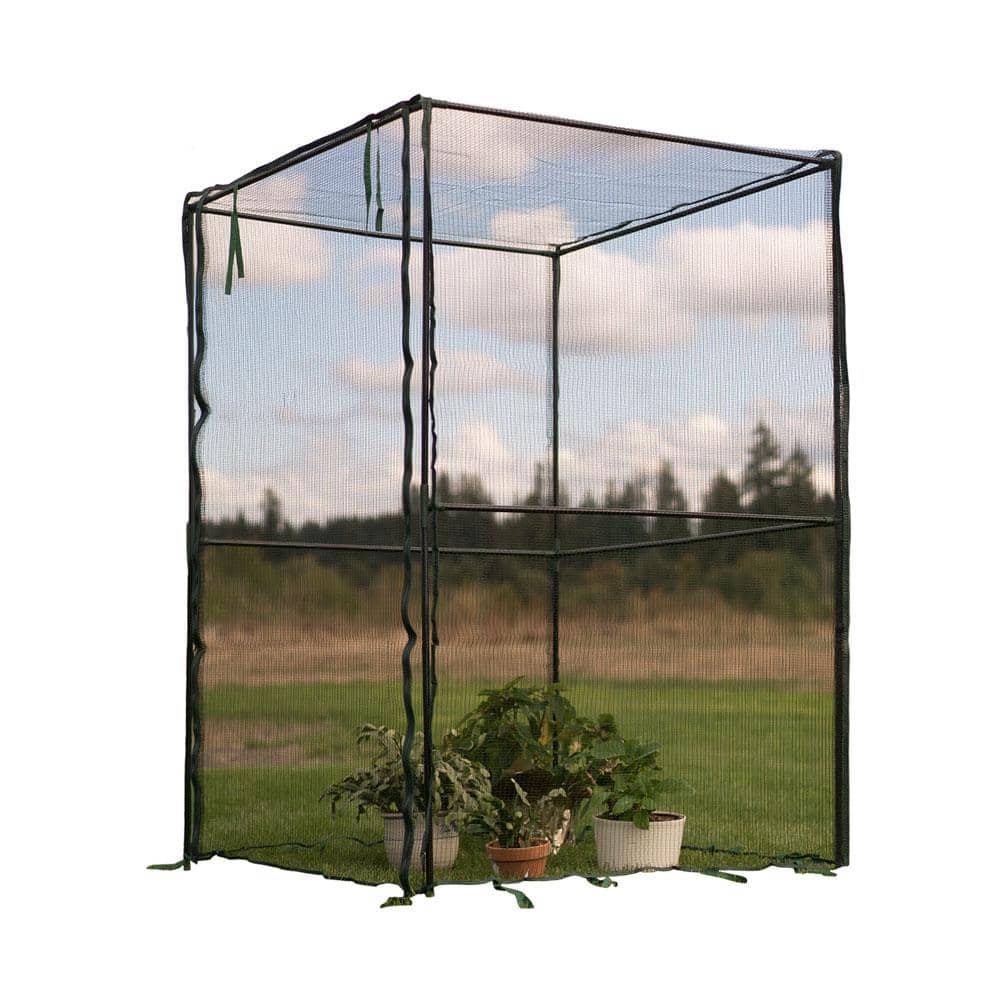 47.2 in. x 47.2 in. x 70.9 in. Fruit Cage Steel Frame, Anti-Bird Netting - Hercitys