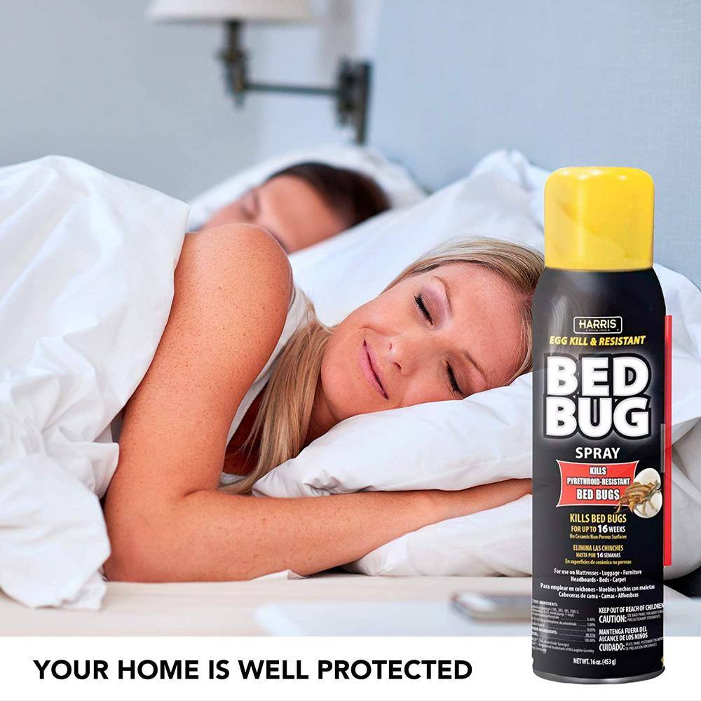 16 oz. Egg Kill and Resistant Bed Bug Spray (2-Pack) - Hercitys