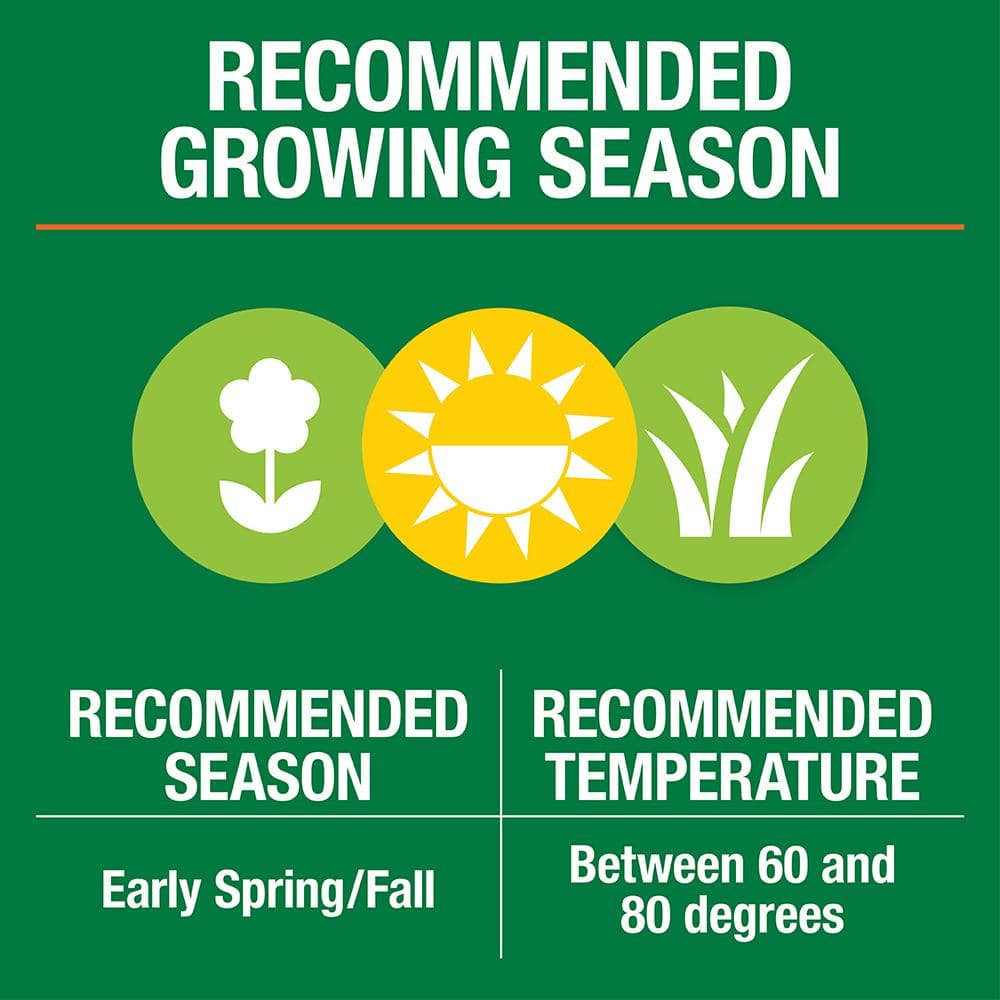 3 lbs. Fast Grass Seed Mix (2-Pack) - Hercitys