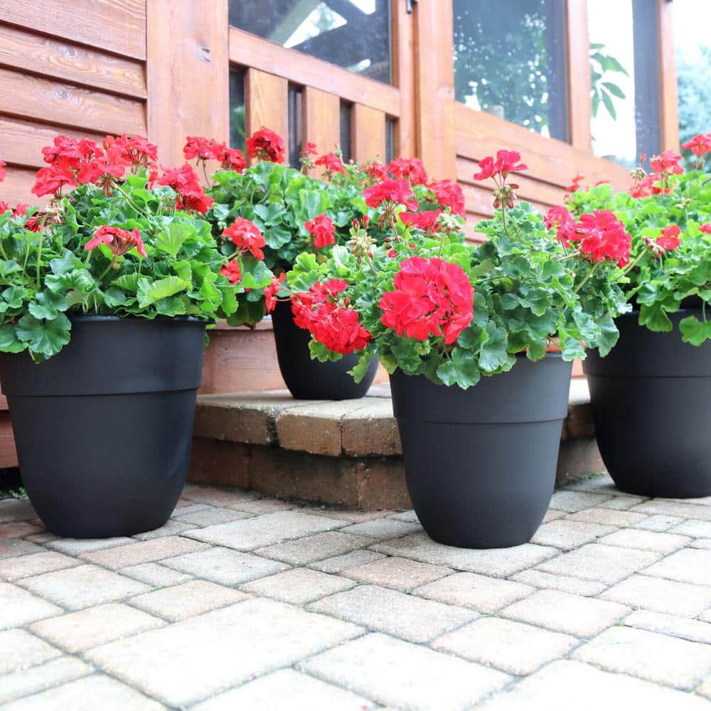 15 in. Dia Black Plastic Planter (6-Pack) - Hercitys
