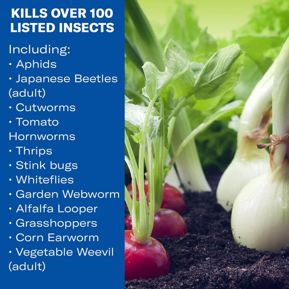 32 oz. Concentrate Vegetable and Garden Insect Killer Spray (2-Pack) - Hercitys