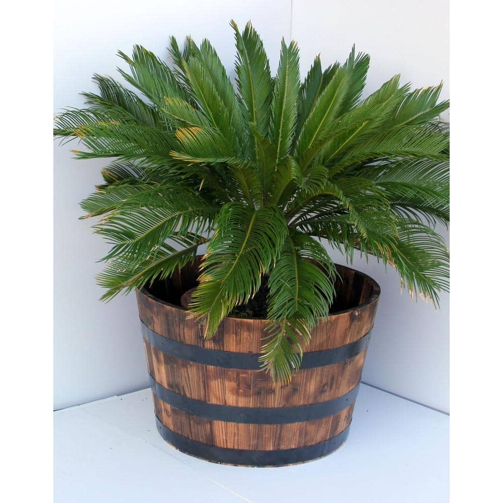 26 in. Jackson Extra Large Brown Wood Barrel Planter (26 in. D x 16.5 in. H) with Drainage Hole - Hercitys