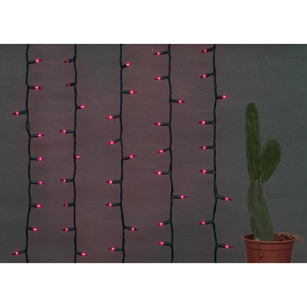 100-Count Designer Series Red Christmas Mini Lights - Hercitys