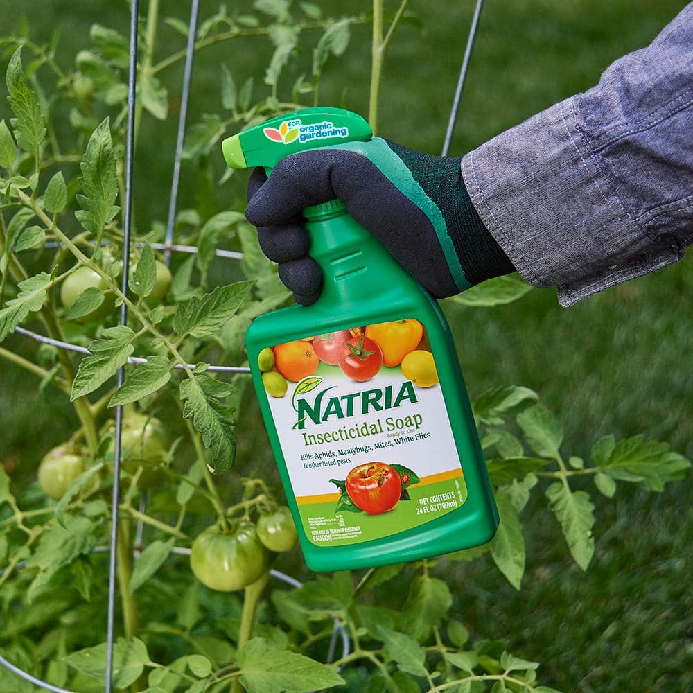 24 oz. Ready-to-Use Insecticidal Soap Insect Killer (2-Pack) - Hercitys