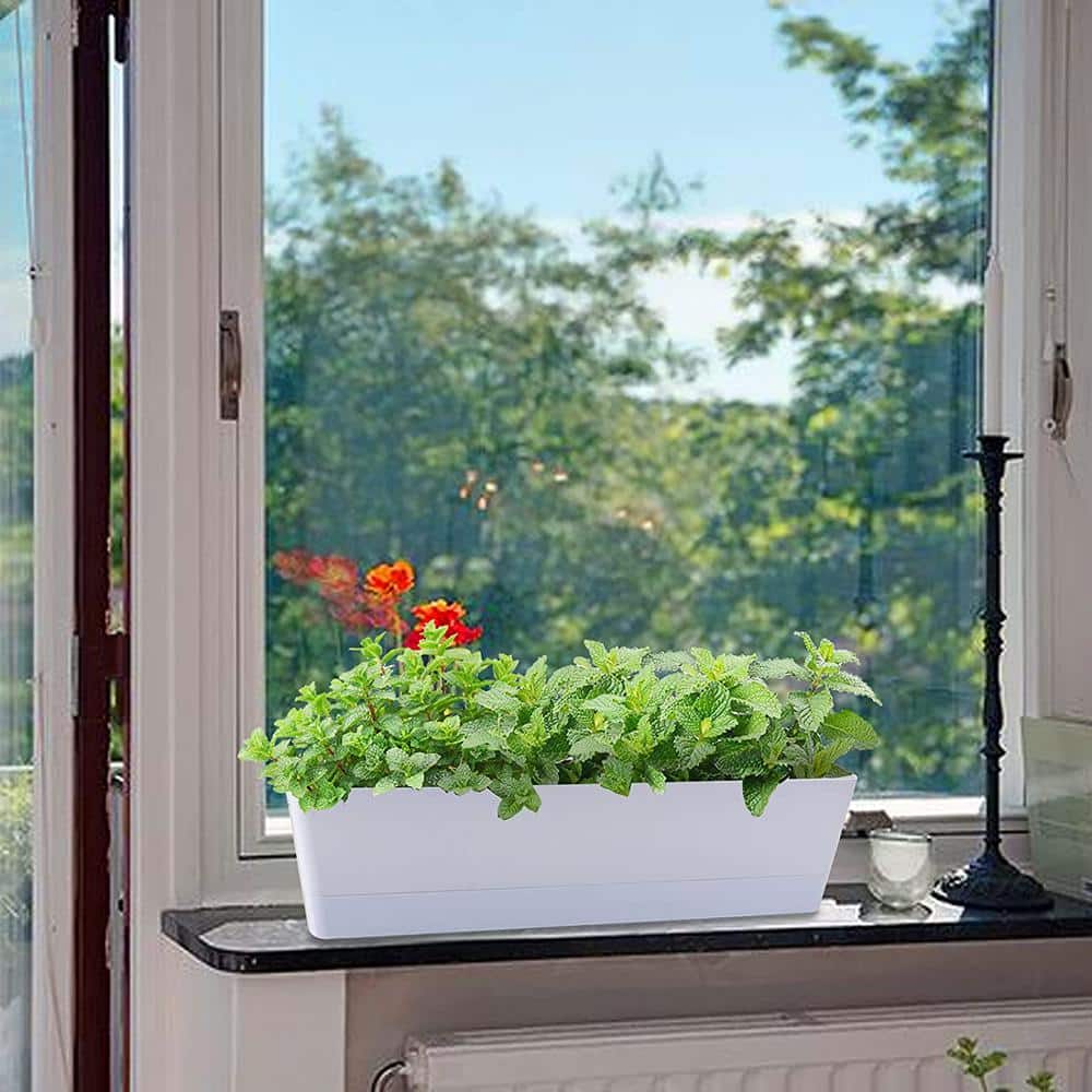 16 in. x 3.8 in. White Large Window Boxes Plastic Planters, 1-Pieces Vegetable Herb Planters with Tray - Hercitys