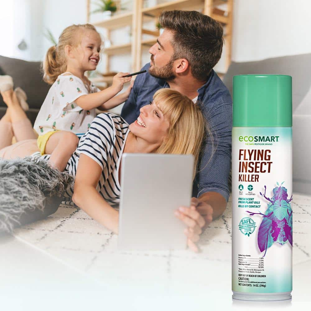 14 oz. Natural Flying Insect Killer with Plant-Based Rosemary and Peppermint Oil, Aerosol Spray Can (2-Pack) - Hercitys