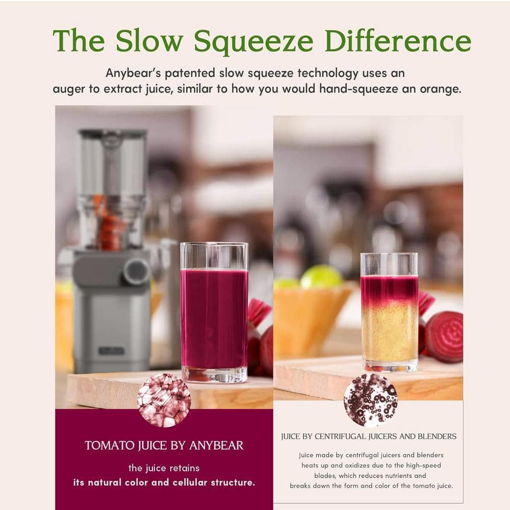 200-Watt Masticating Juicer 4.3 in. Large Feed Chute Fit Whole Fruits Vegetables - Hercitys