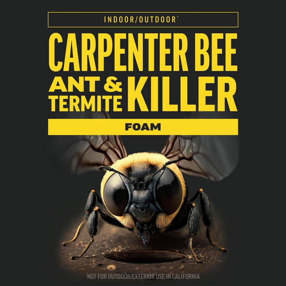 18 oz. Quick Kill Carpenter Bee, Ant, and Termite Killer Foam (2-Pack) - Hercitys