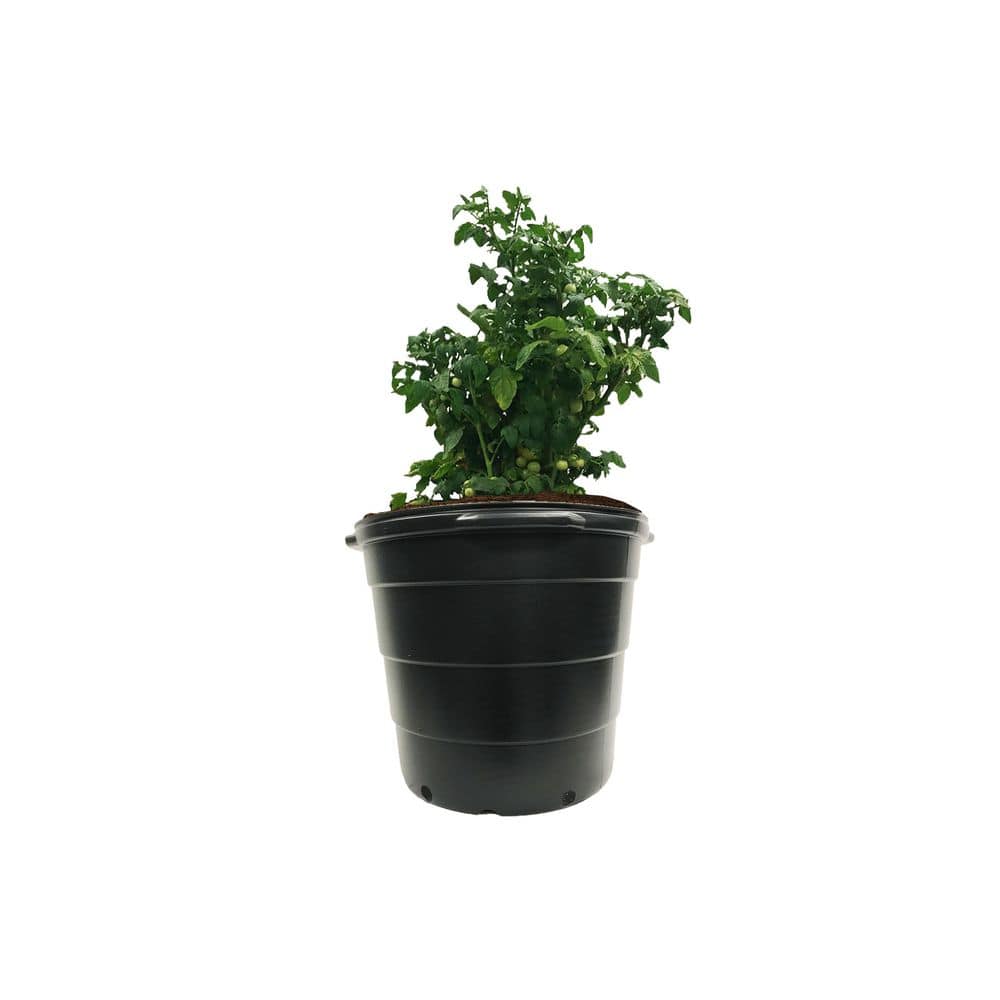 15 Gal. Plastic Round Nursery Trade Pots (5-Pack) - Hercitys