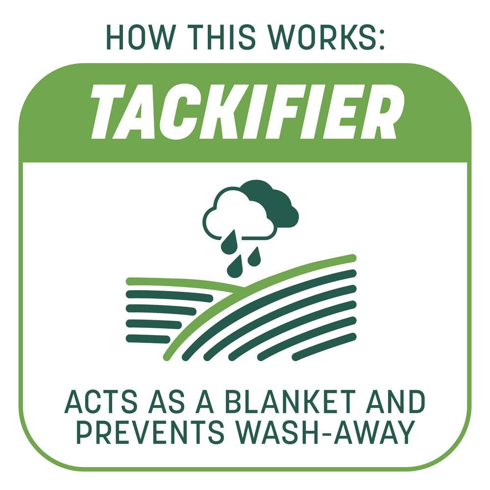 5 lbs. Smart Patch Tall Fescue West Grass Seed with Mulch Fertilizer - Hercitys