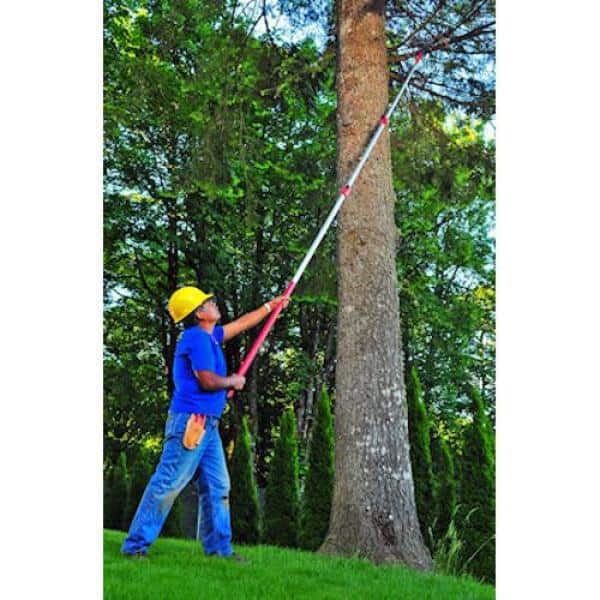 17 in. Curved Serrated Blade with 6 ft. to 15 ft. Telescoping Pole Saw - Hercitys
