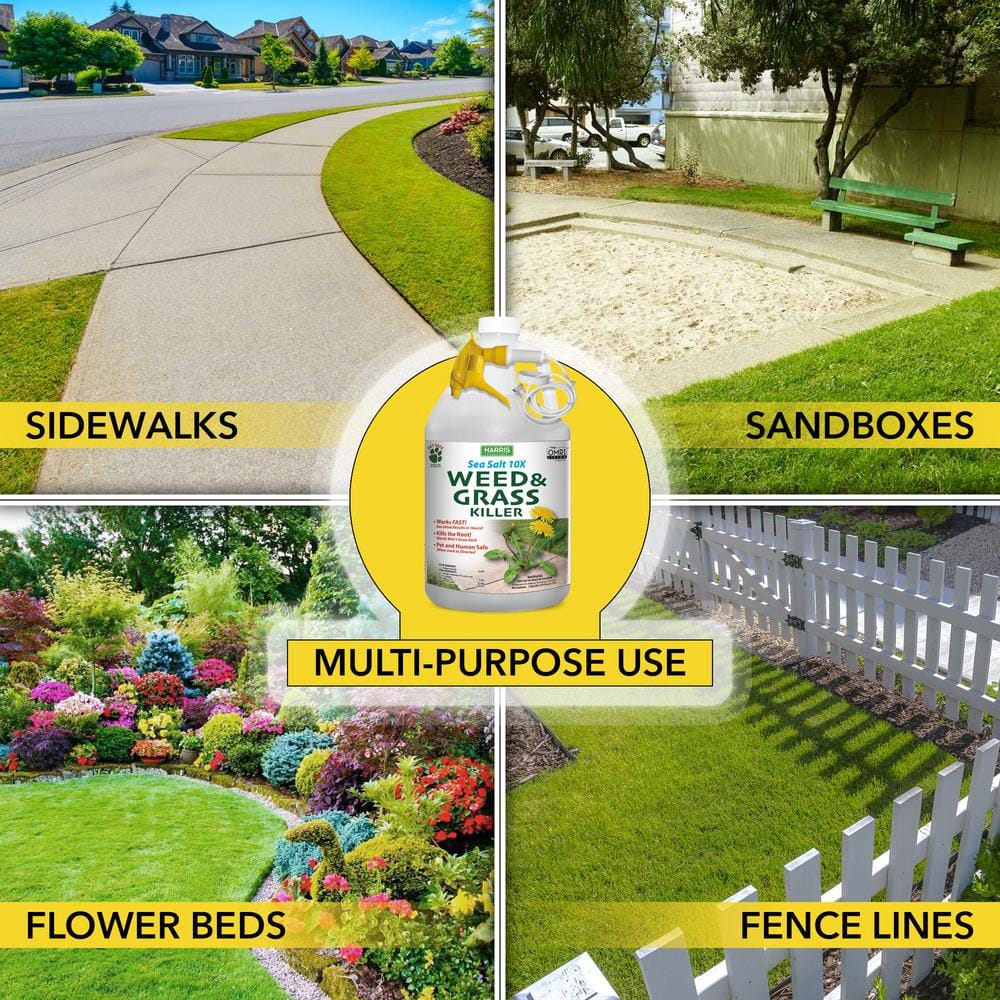 128 oz. Sea Salt Weed and Grass Killer - Hercitys