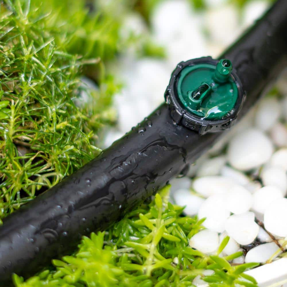 2 GPH Button Dripper (100-Pack) - Hercitys