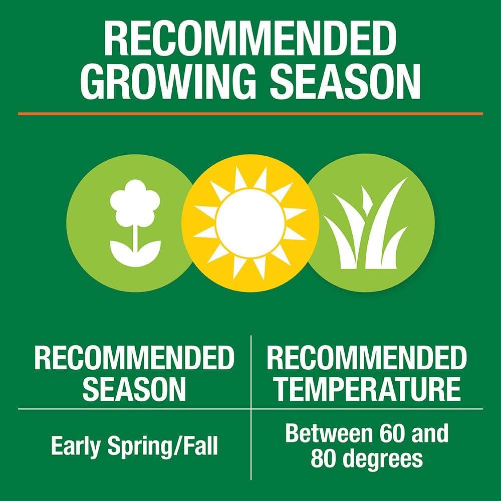 3 lbs. Dense Shade Grass Seed Mix with Water Saver Seed Coating - Hercitys