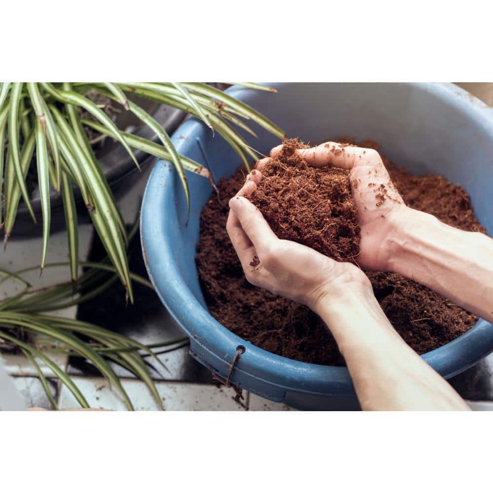 11 lbs. Coco Coir Potting Soil for Indoor Plants and Outdoor Plant The Coconut Coir Potting Mix is Great for Microgreens - Hercitys