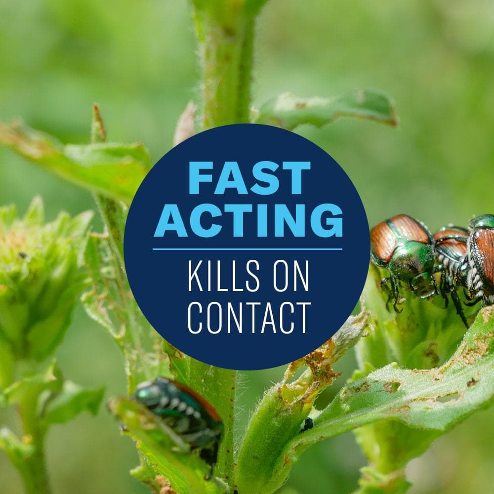 32 oz. Concentrate Vegetable and Garden Insect Killer Spray (2-Pack) - Hercitys