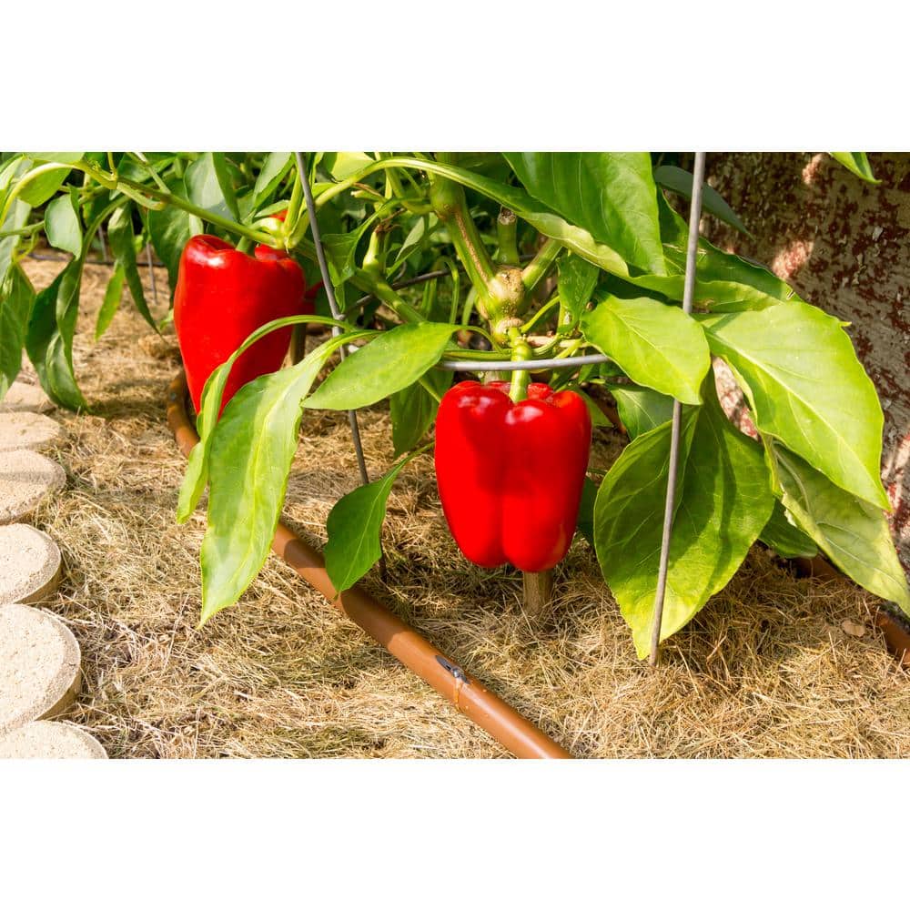 1/2 in. x 250 ft. Drip Emitter Tubing with 12 in. Spacing - Hercitys