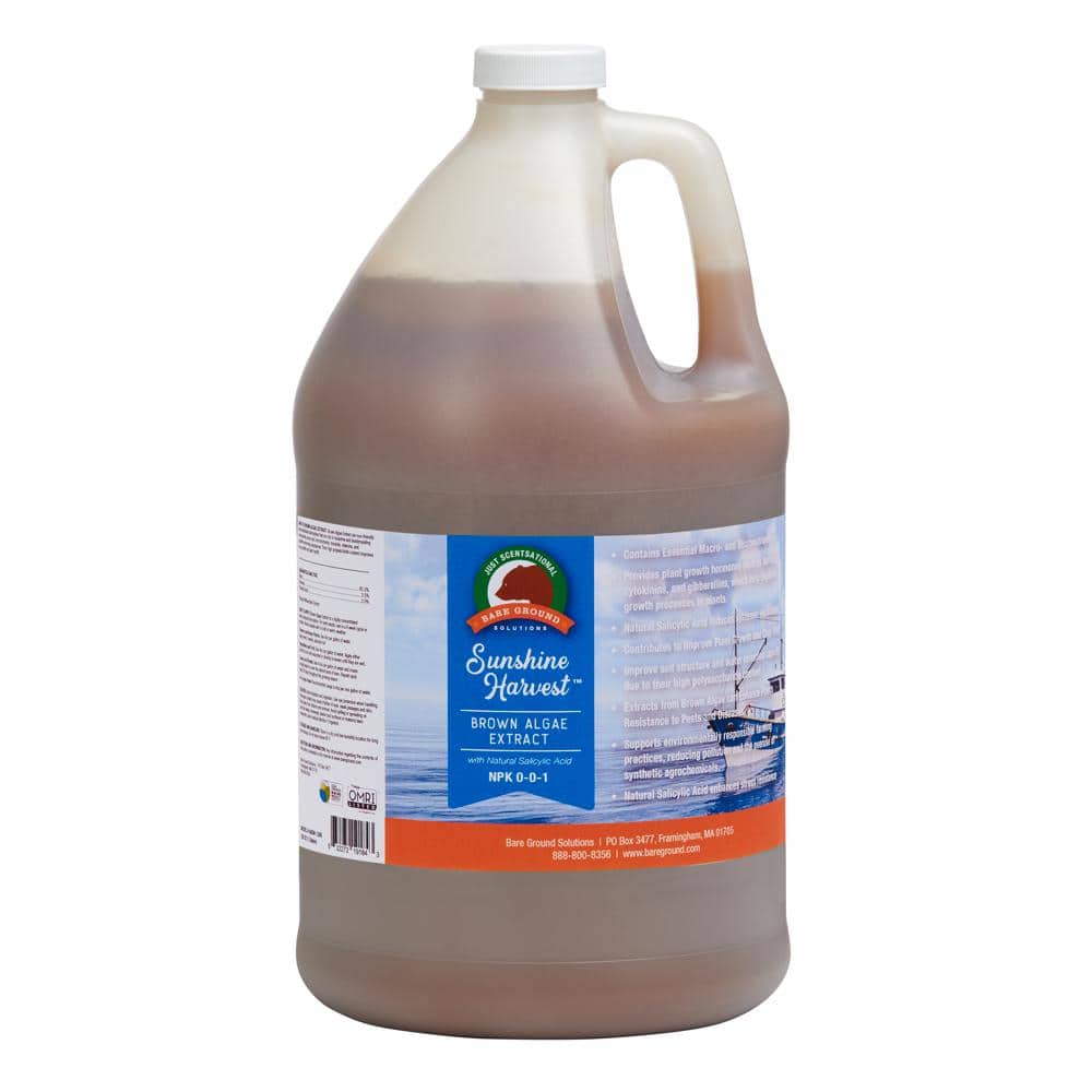 128 oz. Brown Algae with Natural Salicylic Acid - Hercitys
