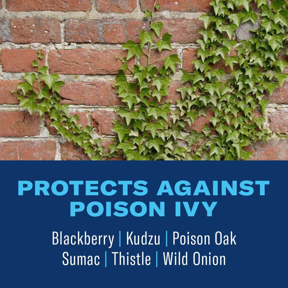 32 oz. Brush Killer Plus Ready To Use (2-Pack) - Hercitys