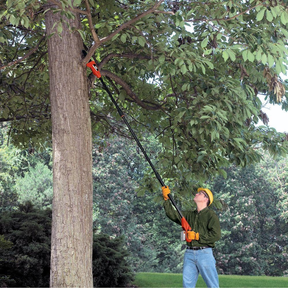 20V MAX 8in. Cordless Battery Powered Pole Saw, Tool Only - Hercitys