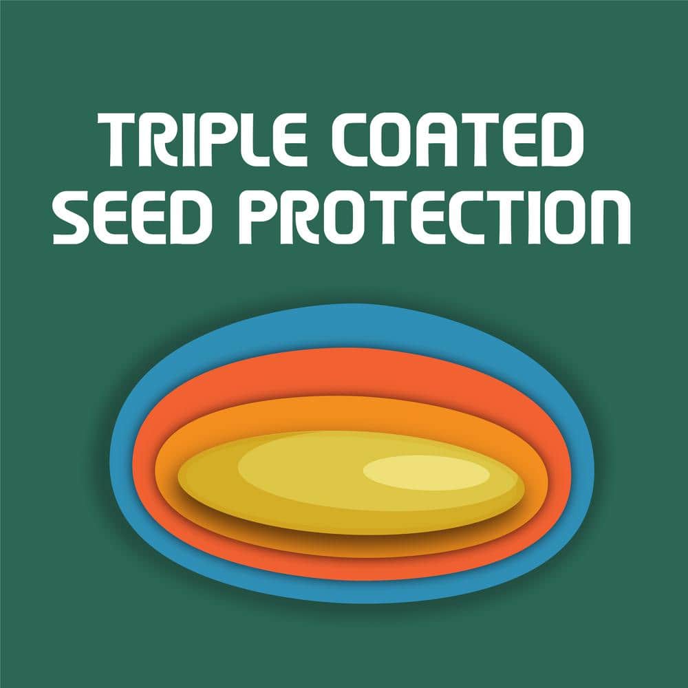 3 lbs. Shady Lawn Grass Seed Mix - Hercitys