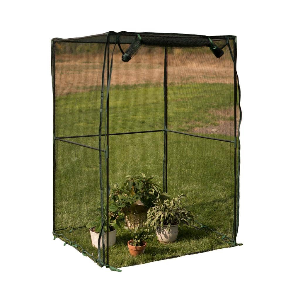 47.2 in. x 47.2 in. x 70.9 in. Fruit Cage Steel Frame, Anti-Bird Netting - Hercitys