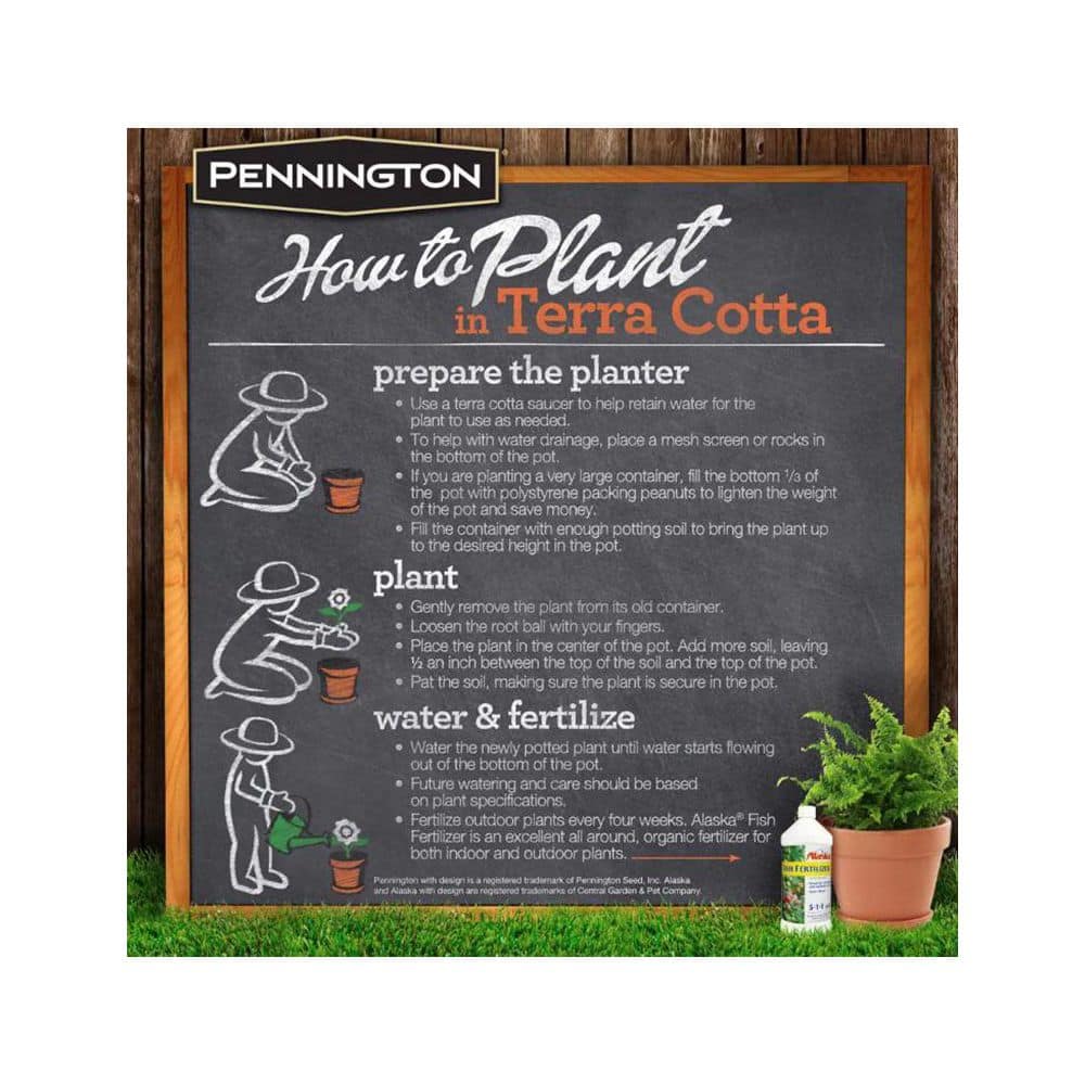 3 in. x 2 in. Small Terra Cotta Clay Cylinder Pot (32-Pack) - Hercitys