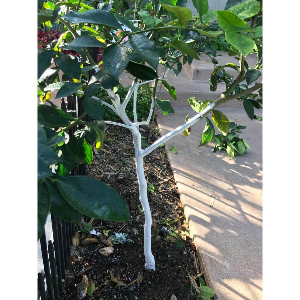 3.5 oz. Tree Guard Paint Protection Against Damaging Sunburn Insects and Rodents - Hercitys