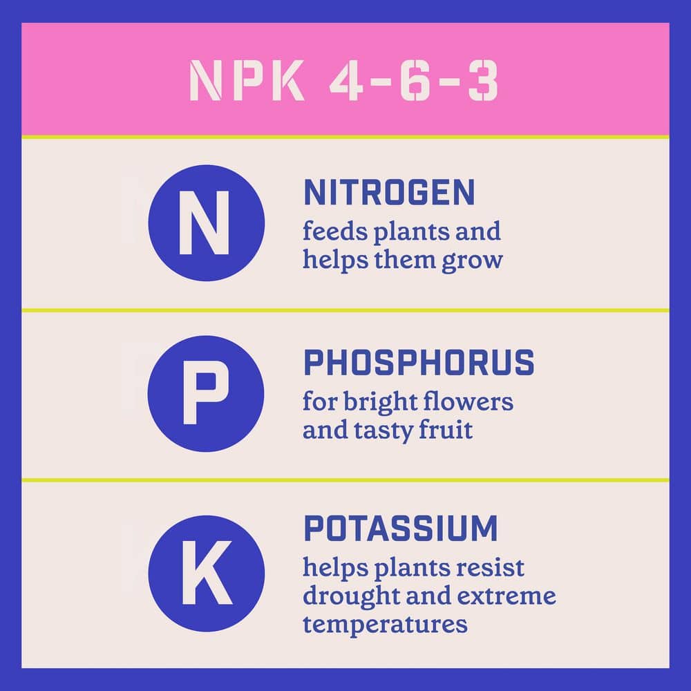 4 lbs. Rejuvenate Rose and Flower Plant Food 4-6-3 - Hercitys