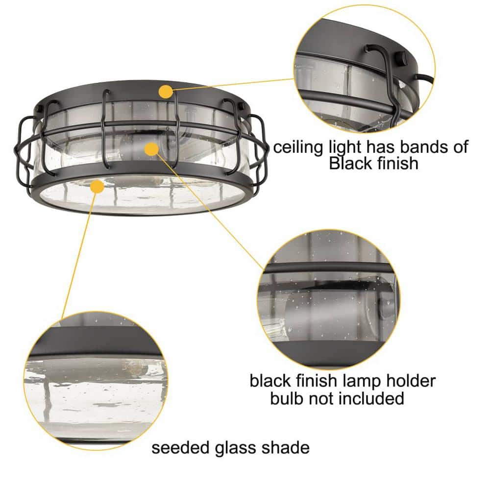 15.75 in. 2-Light Black Flush Mount with Clear Glass Shade and No Light Bulb Type Included (1-Pack) - Hercitys
