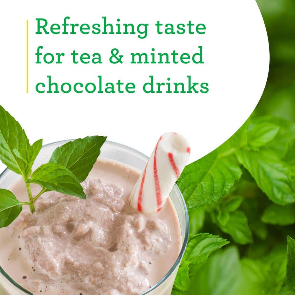 19 oz. Peppermint Herb Plant (2-Pack) - Hercitys