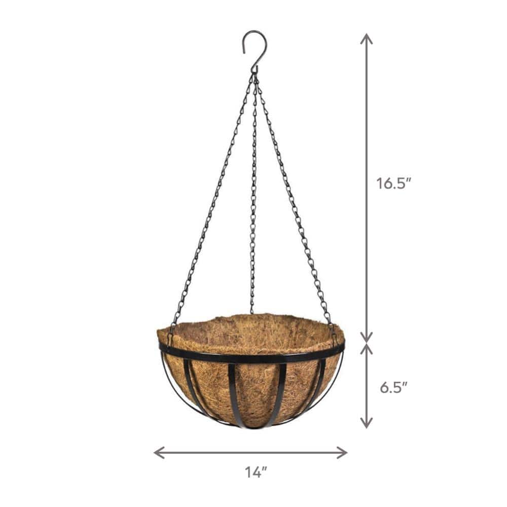 14 in. Dia English Black Metal Hanging Basket with Coco Liner - Hercitys