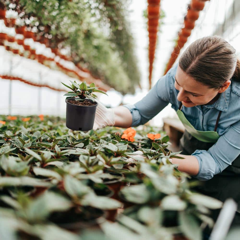 5 Gal. Premium Nursery Black Plastic Planter Garden Grow Pots, 5-Pack - Hercitys