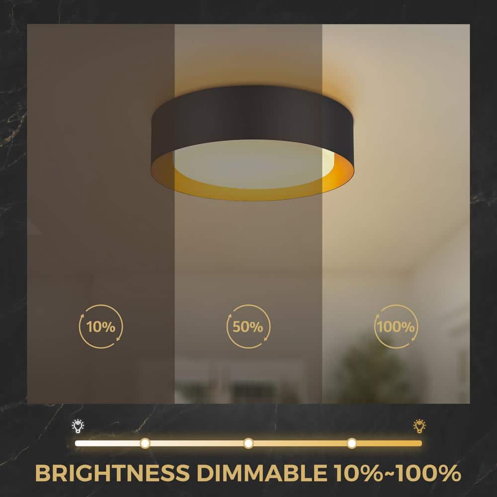 19.7 in. 24-Watt Black LED Flush Mount Ceiling Light Fixture with Frosted Glass Shade - Hercitys