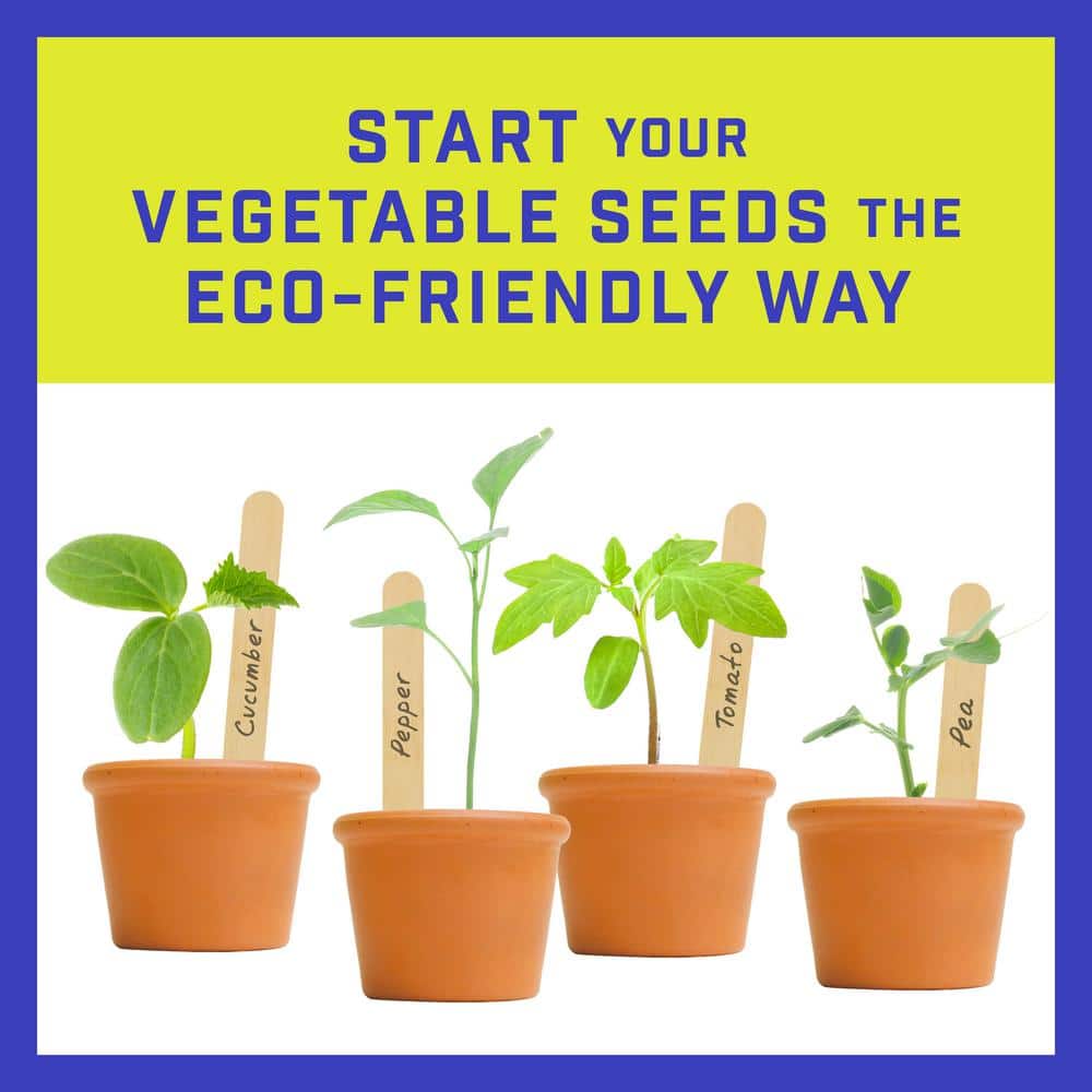 3 in. x 2 in. Small Terra Cotta Clay Cylinder Pot (32-Pack) - Hercitys