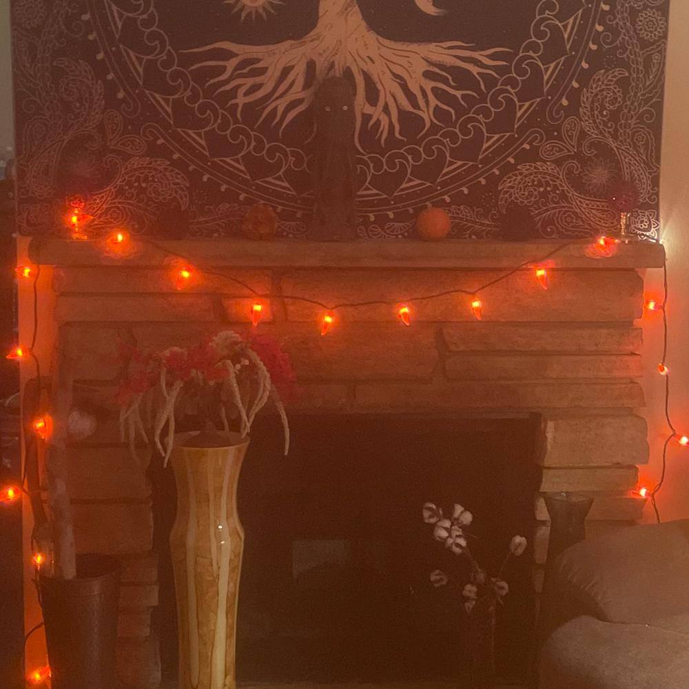 35-Count Red Chili Pepper Patio String Light Set, 22.5 ft. Brown Wire - Hercitys