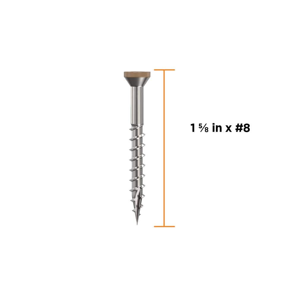 1-5/8 in. #8 316 Stainless Steel Tan Premium Star Drive Trim Screws (350-Count) - Hercitys