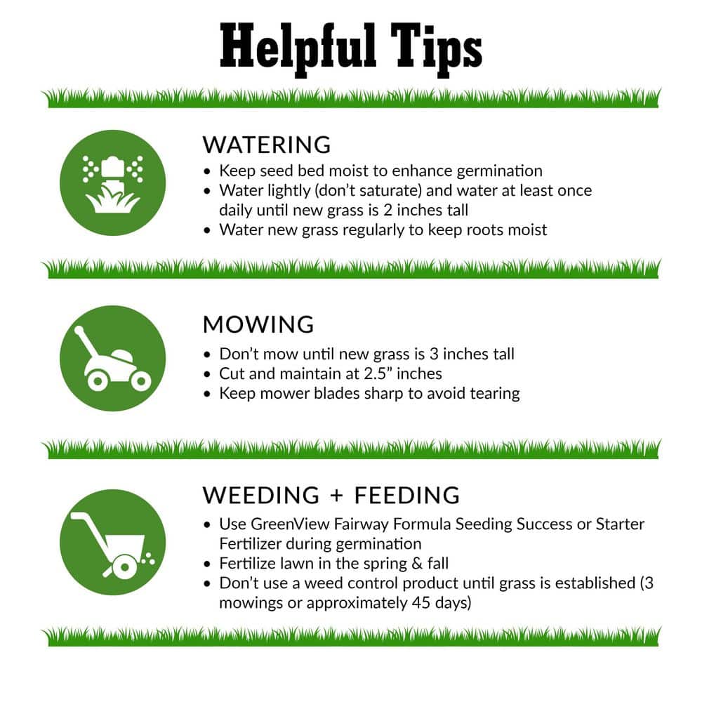 3 lbs. Pure Grass Seed Sun and Shade Mixture – Covers up to 1,500 sq. ft. - Hercitys