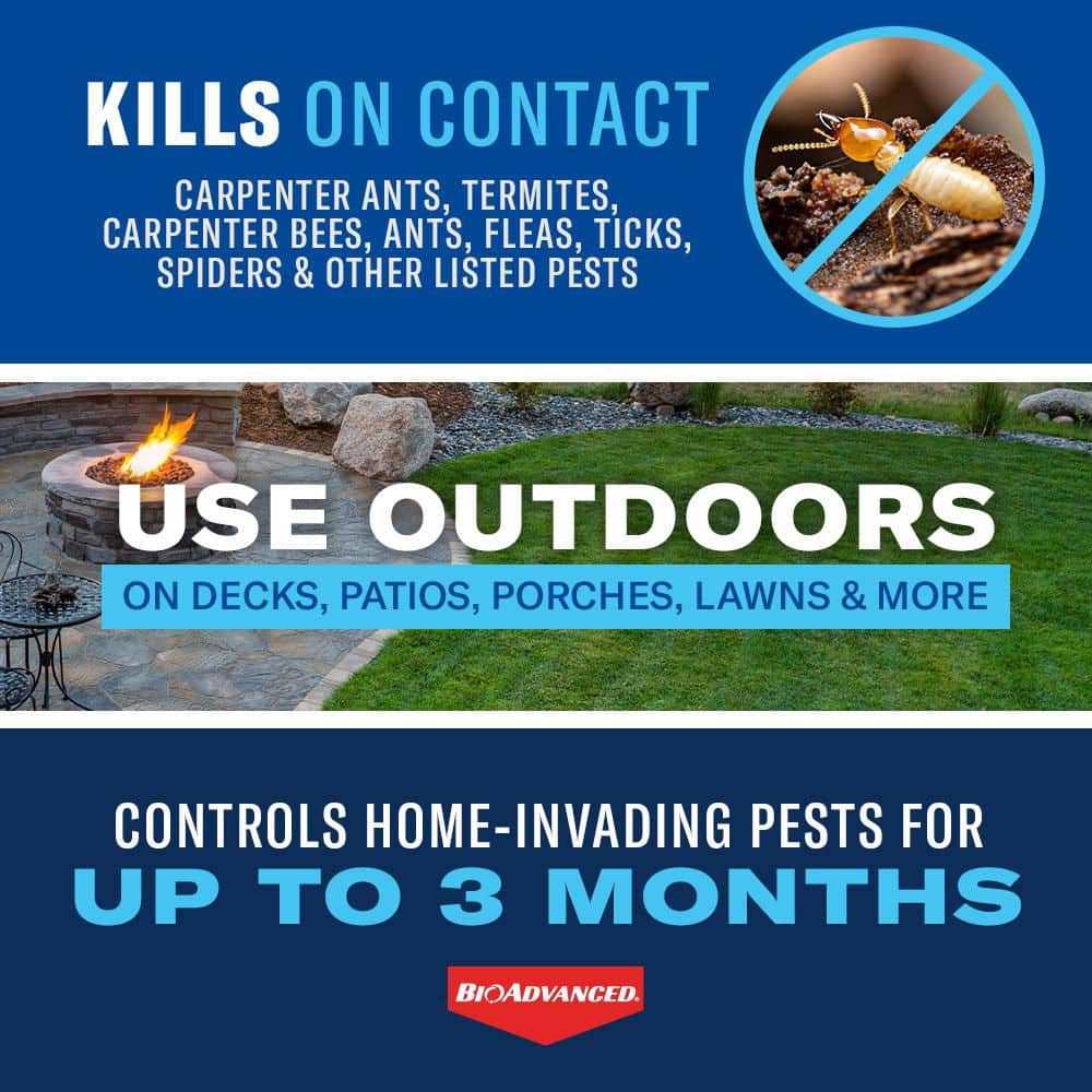 1 Gal. Concentrate Carpenter Ant and Termite Killer Plus - Hercitys