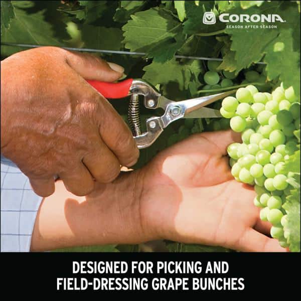 1.75 in. Stainless Steel Long Curved Snips - Hercitys