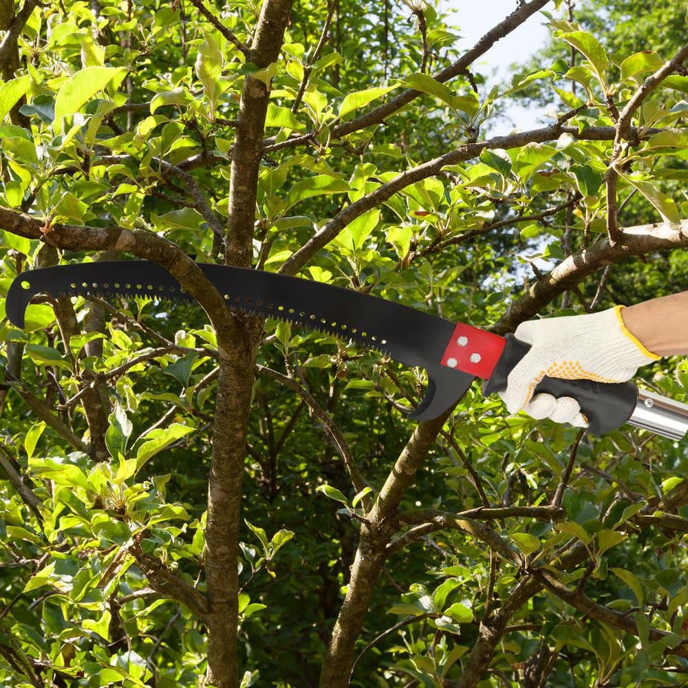 288 in. x 13.7 in. Green Extendable Tree Pruner with Sharp Steel Blade and Scissors High Branches Trimming - Hercitys