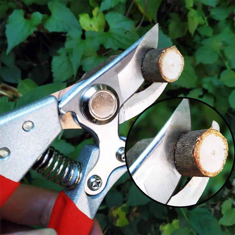 2 in. Pruning Shears 1 in. Cutting Capacity, Red Professional Bypass - Hercitys